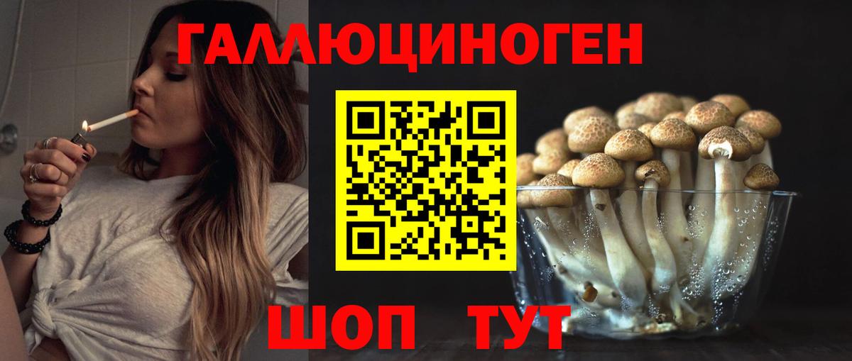 Галлюциногенные грибы Cubensis Мирный